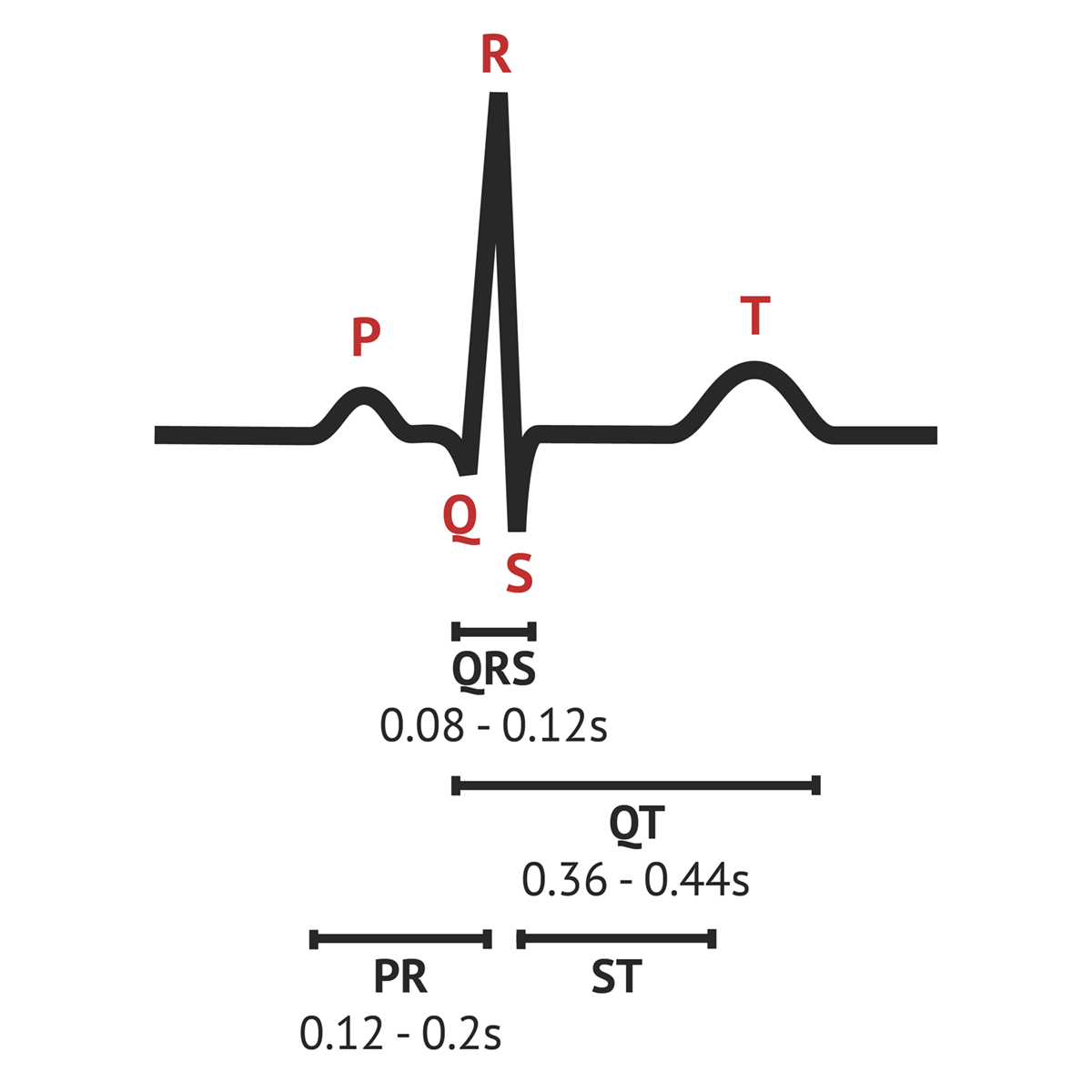 The Normal Ecg Trace Ecg Basics Medschool | Free Download Nude Photo ...