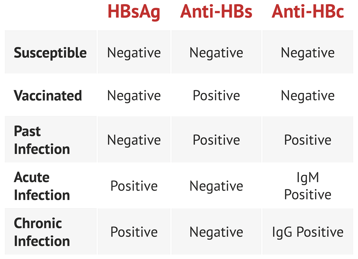 Hepatitis B Serology Test Findings Medschool