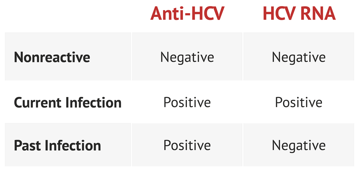 What Is Hep C Antibody Test