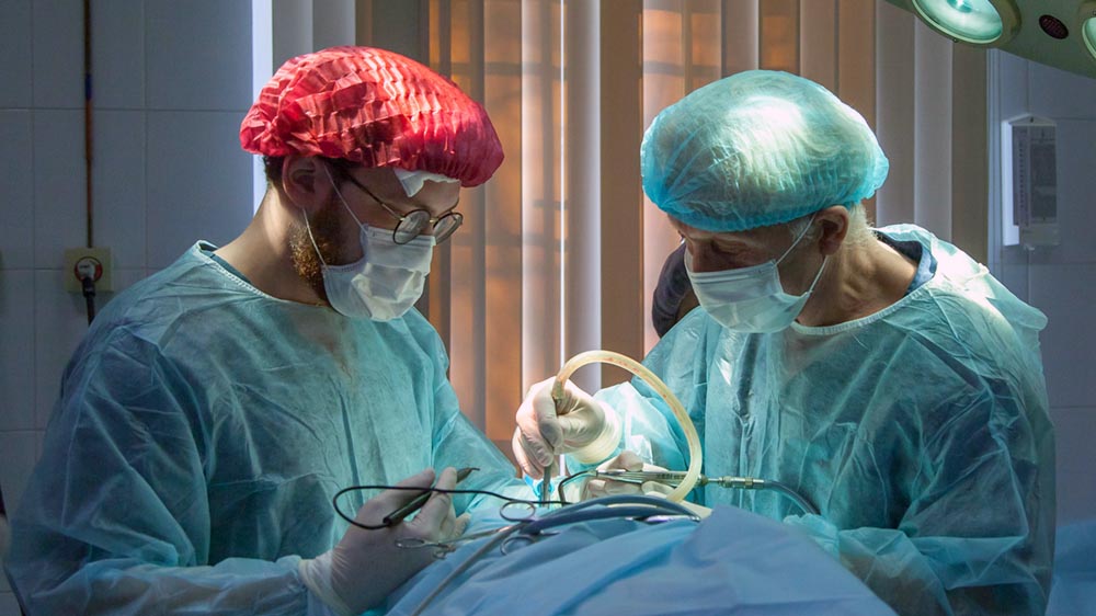 Find a Coach or Mentor