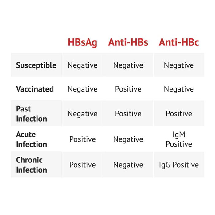 Hepatitis B Serology